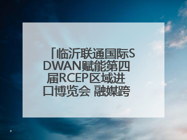 临沂联通国际SDWAN赋能第四届RCEP区域进口博览会 融媒跨境直播畅行无阻