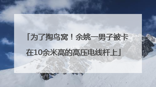 为了掏鸟窝！余姚一男子被卡在10余米高的高压电线杆上