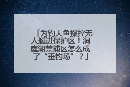 为钓大鱼操控无人艇进保护区！洞庭湖禁捕区怎么成了“垂钓场”？