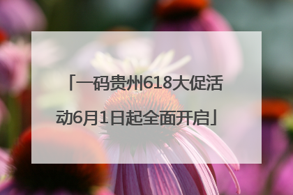 一码贵州618大促活动6月1日起全面开启