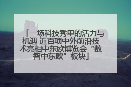 一场科技秀里的活力与机遇 近百项中外前沿技术亮相中东欧博览会“数智中东欧”板块