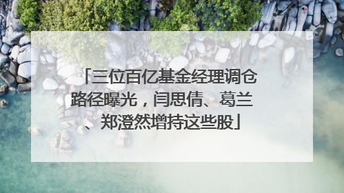 三位百亿基金经理调仓路径曝光，闫思倩、葛兰、郑澄然增持这些股