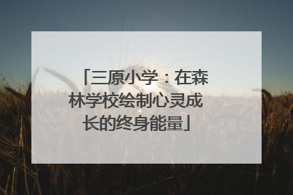 三原小学：在森林学校绘制心灵成长的终身能量