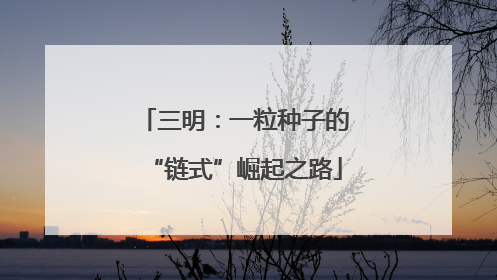 三明：一粒种子的“链式”崛起之路