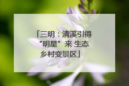 三明：清溪引得“明星”来 生态乡村变景区