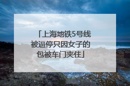 上海地铁5号线被逼停只因女子的包被车门夹住