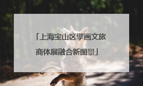 上海宝山区擘画文旅商体展融合新图景