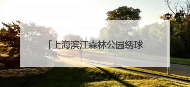 上海滨江森林公园绣球花展启幕，近5万株绣球花海打造治愈系画面