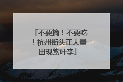 不要摘！不要吃！杭州街头正大量出现紫叶李