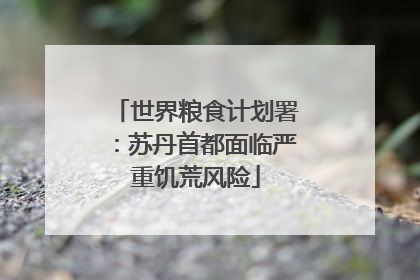 世界粮食计划署：苏丹首都面临严重饥荒风险