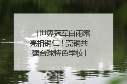 世界冠军白雨露亮相铜仁！莞铜共建台球特色学校