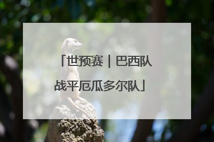 世预赛｜巴西队战平厄瓜多尔队