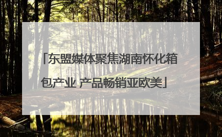 东盟媒体聚焦湖南怀化箱包产业 产品畅销亚欧美