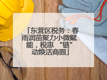 东营区税务：春雨润苗聚力小微赋能，税惠 “链” 动焕活商圈
