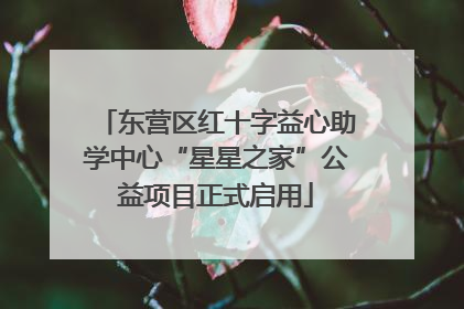 东营区红十字益心助学中心“星星之家”公益项目正式启用