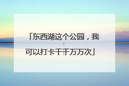 东西湖这个公园，我可以打卡千千万万次