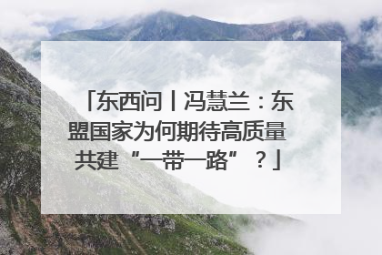 东西问丨冯慧兰：东盟国家为何期待高质量共建“一带一路”？