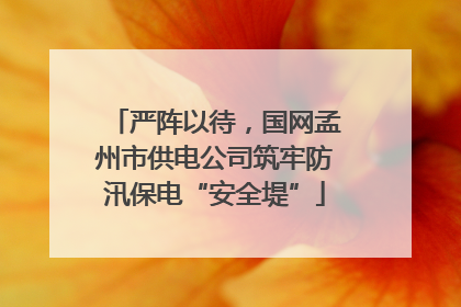 严阵以待，国网孟州市供电公司筑牢防汛保电“安全堤”
