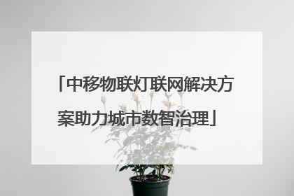 中移物联灯联网解决方案助力城市数智治理