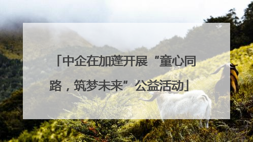 中企在加蓬开展“童心同路，筑梦未来”公益活动
