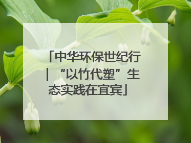 中华环保世纪行｜“以竹代塑”生态实践在宜宾
