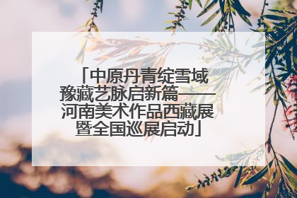 中原丹青绽雪域 豫藏艺脉启新篇——河南美术作品西藏展暨全国巡展启动