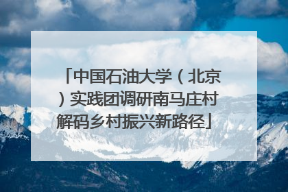 中国石油大学（北京）实践团调研南马庄村解码乡村振兴新路径