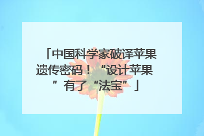 中国科学家破译苹果遗传密码！“设计苹果”有了“法宝”