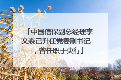 中国信保副总经理李文森已升任党委副书记，曾任职于央行