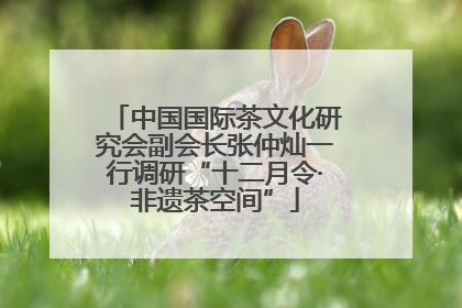 中国国际茶文化研究会副会长张仲灿一行调研“十二月令·非遗茶空间”