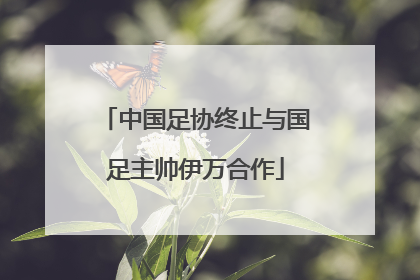 中国足协终止与国足主帅伊万合作