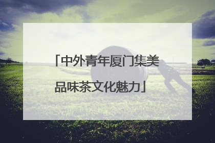 中外青年厦门集美品味茶文化魅力