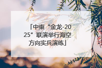 中柬“金龙-2025”联演举行海空方向实兵演练