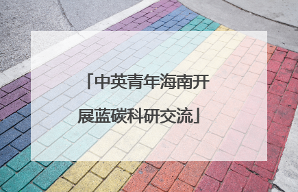 中英青年海南开展蓝碳科研交流