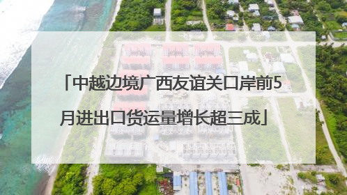 中越边境广西友谊关口岸前5月进出口货运量增长超三成