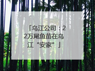 乌江公司：22万尾鱼苗在乌江“安家”