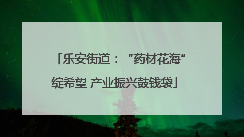 乐安街道：“药材花海”绽希望 产业振兴鼓钱袋
