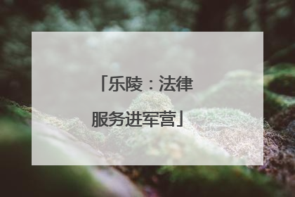 乐陵：法律服务进军营