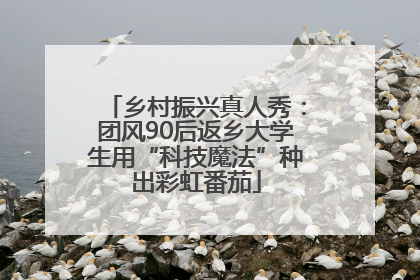 乡村振兴真人秀：团风90后返乡大学生用“科技魔法”种出彩虹番茄