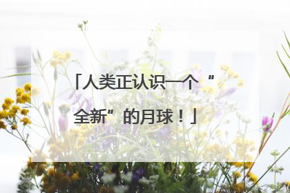 人类正认识一个“全新”的月球！