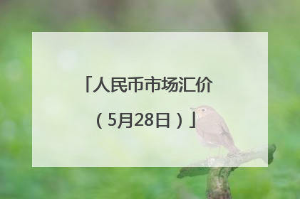 人民币市场汇价（5月28日）