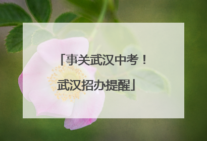 事关武汉中考！武汉招办提醒