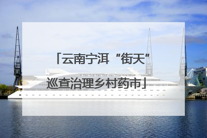 云南宁洱“街天”巡查治理乡村药市