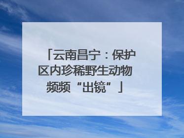 云南昌宁：保护区内珍稀野生动物频频“出镜”