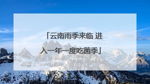 云南雨季来临 进入一年一度吃菌季