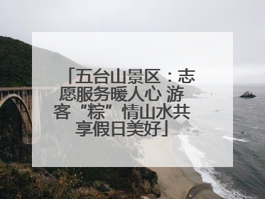 五台山景区：志愿服务暖人心 游客“粽”情山水共享假日美好