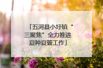五河县小圩镇“三聚焦”全力推进夏种夏管工作