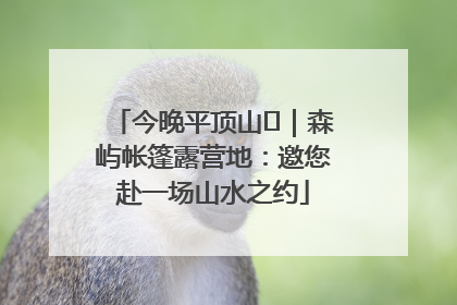 今晚平顶山⑫｜森屿帐篷露营地：邀您赴一场山水之约