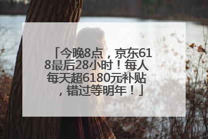 今晚8点，京东618最后28小时！每人每天超6180元补贴，错过等明年！
