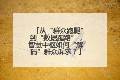 从“群众跑腿”到“数据跑路”，智慧中枢如何“解码”群众诉求？